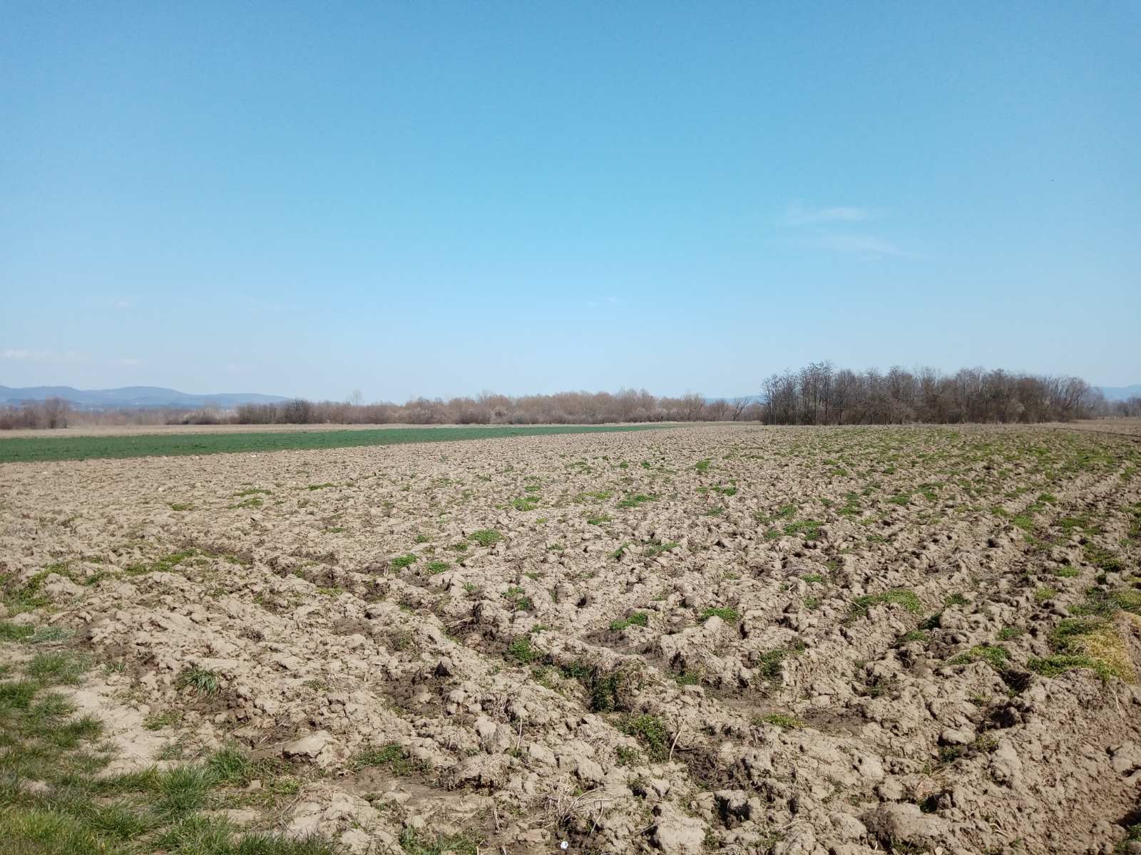 Уместо кромпира и купуса на ораницама би се могло наћи смеће, фото: РИНА