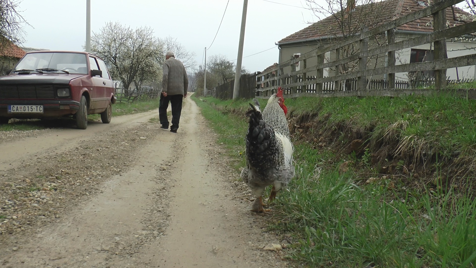 Певац и човек најбољи пријатељи: Лепи је неуништив и два пута се спасио од предатора, сада се не одваја од газде који га је отхранио (ФОТО)