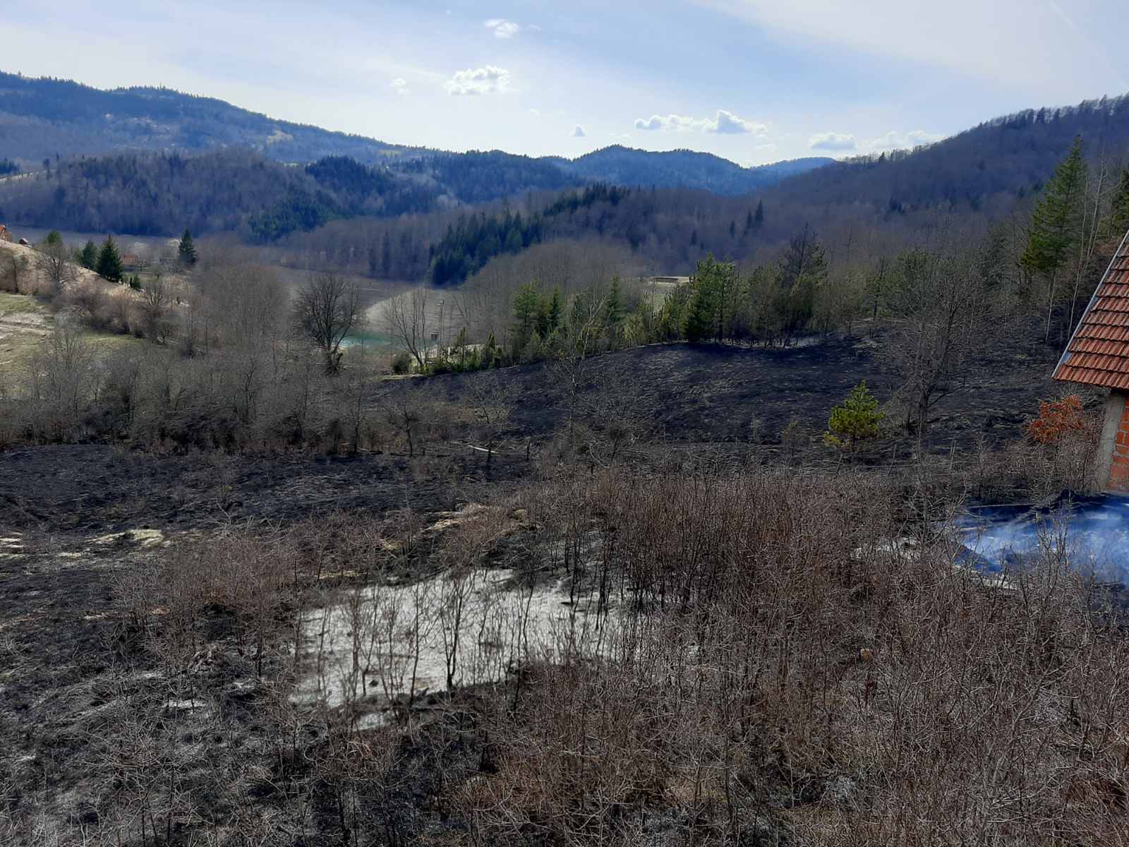 За само три дана шест пожара на територији Бајине Баште, фото: Послови заштите шума и противпожарне заштите / ЈП "НП Тара"