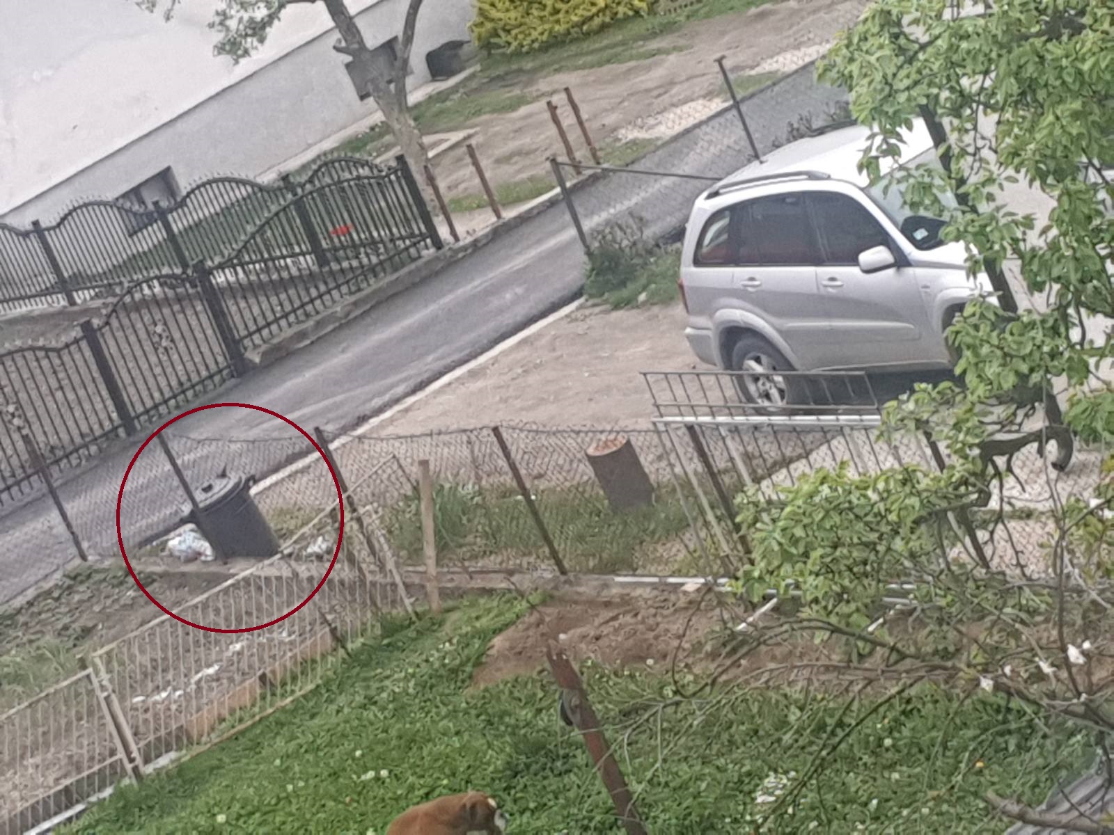 Беба која је пронађена у канти за смеће је угушена: Против двадесетогодишње мајке новорођенчета биће поднета кривична пријава за тешко убиство 