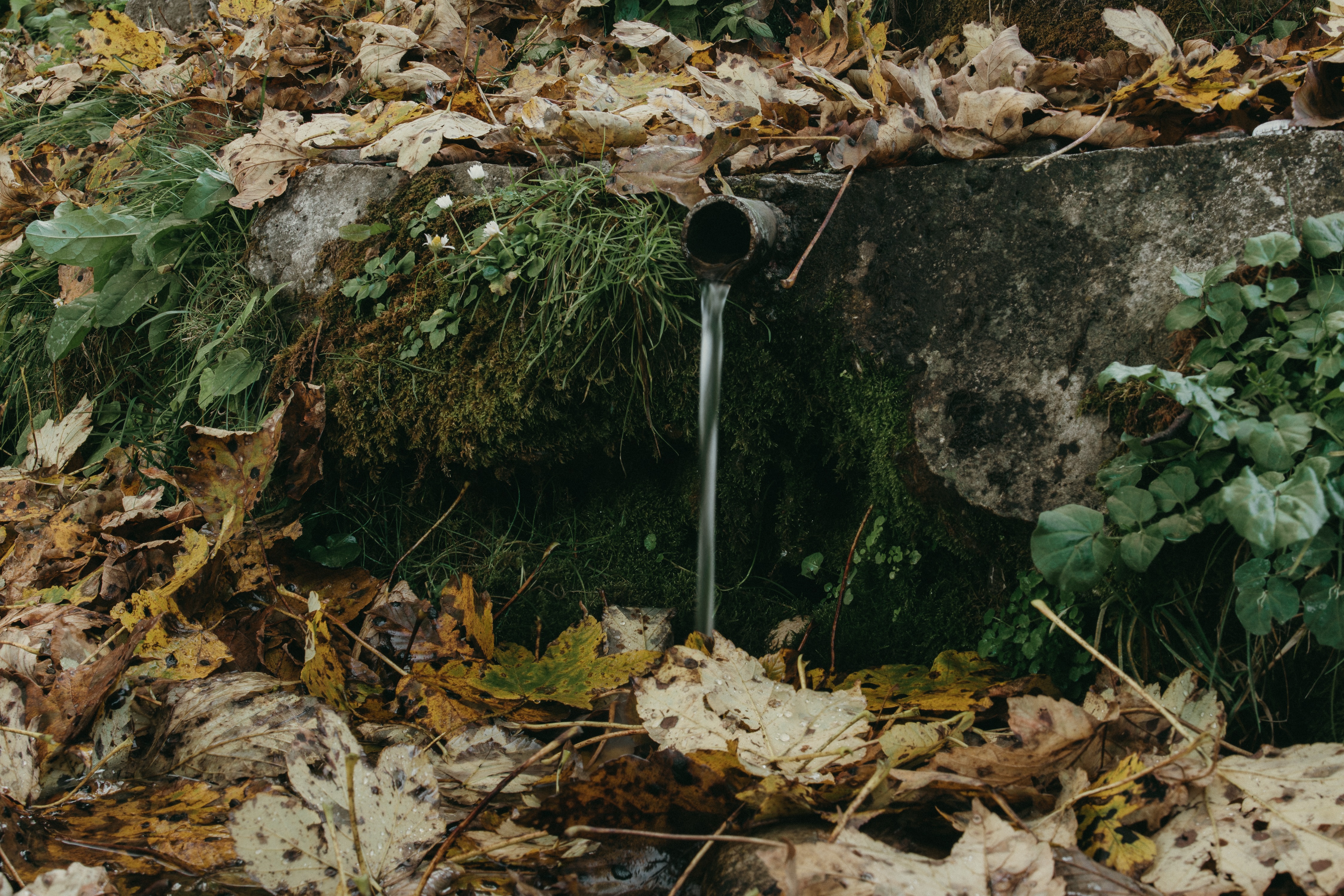 Више од стотину извора хладне пијаће воде, фото. РИНА, Миле Станчић