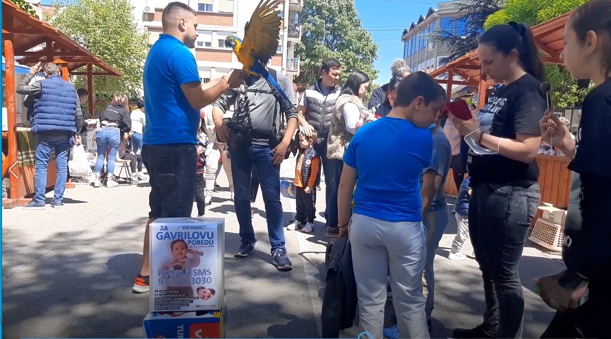 Мали Гаврило најважнију животну битку побеђује уз помоћ хуманих људи: Деца из Тополе сакупила 340 хиљада за његово лечење 
