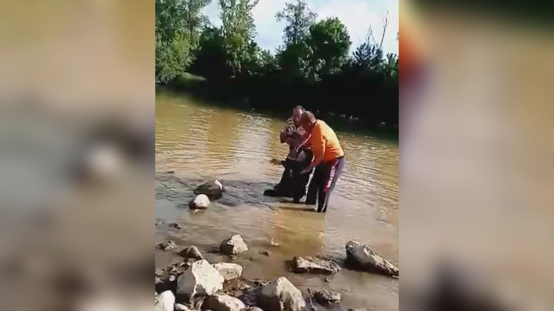 Жена са моста скочила у Западну Мораву: Радници улетели у воду и спасили је сигурне смрти (ВИДЕО)