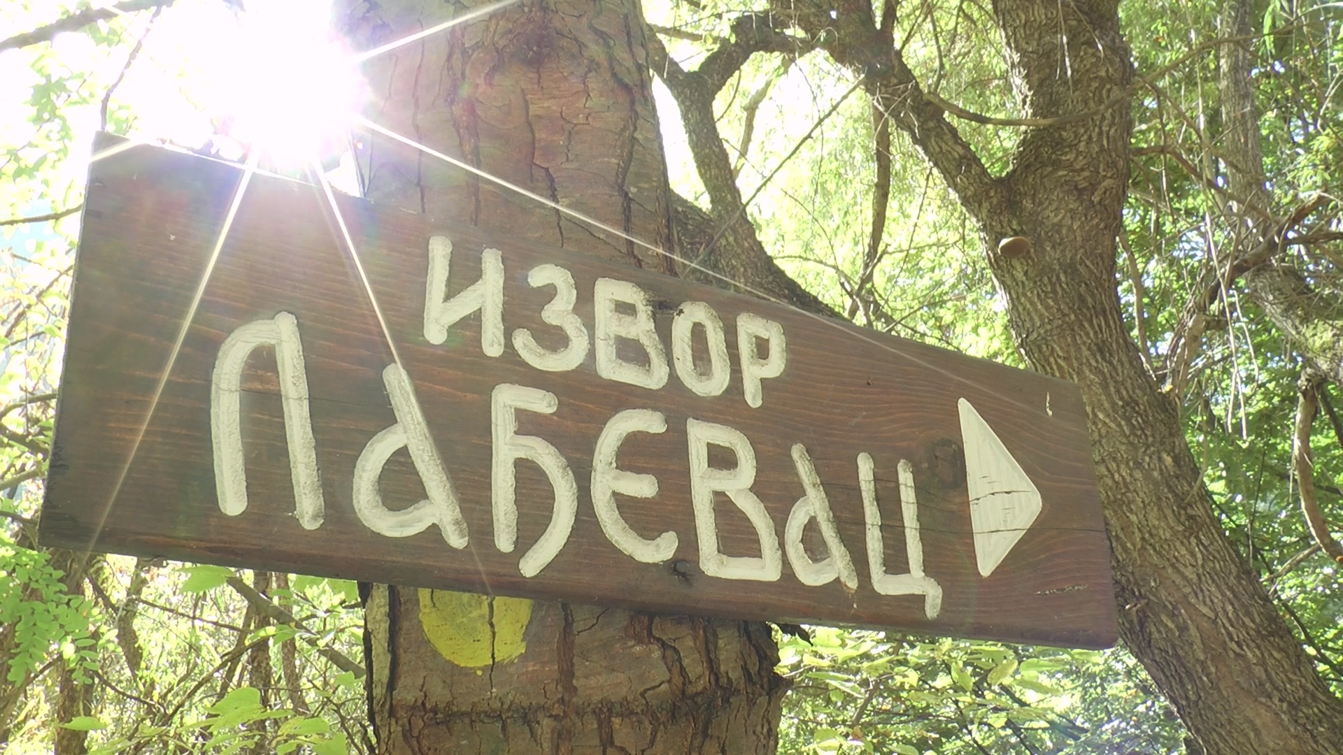 Извор Лађевац надалеко чувен по својој лековитисти, фото: РИНА