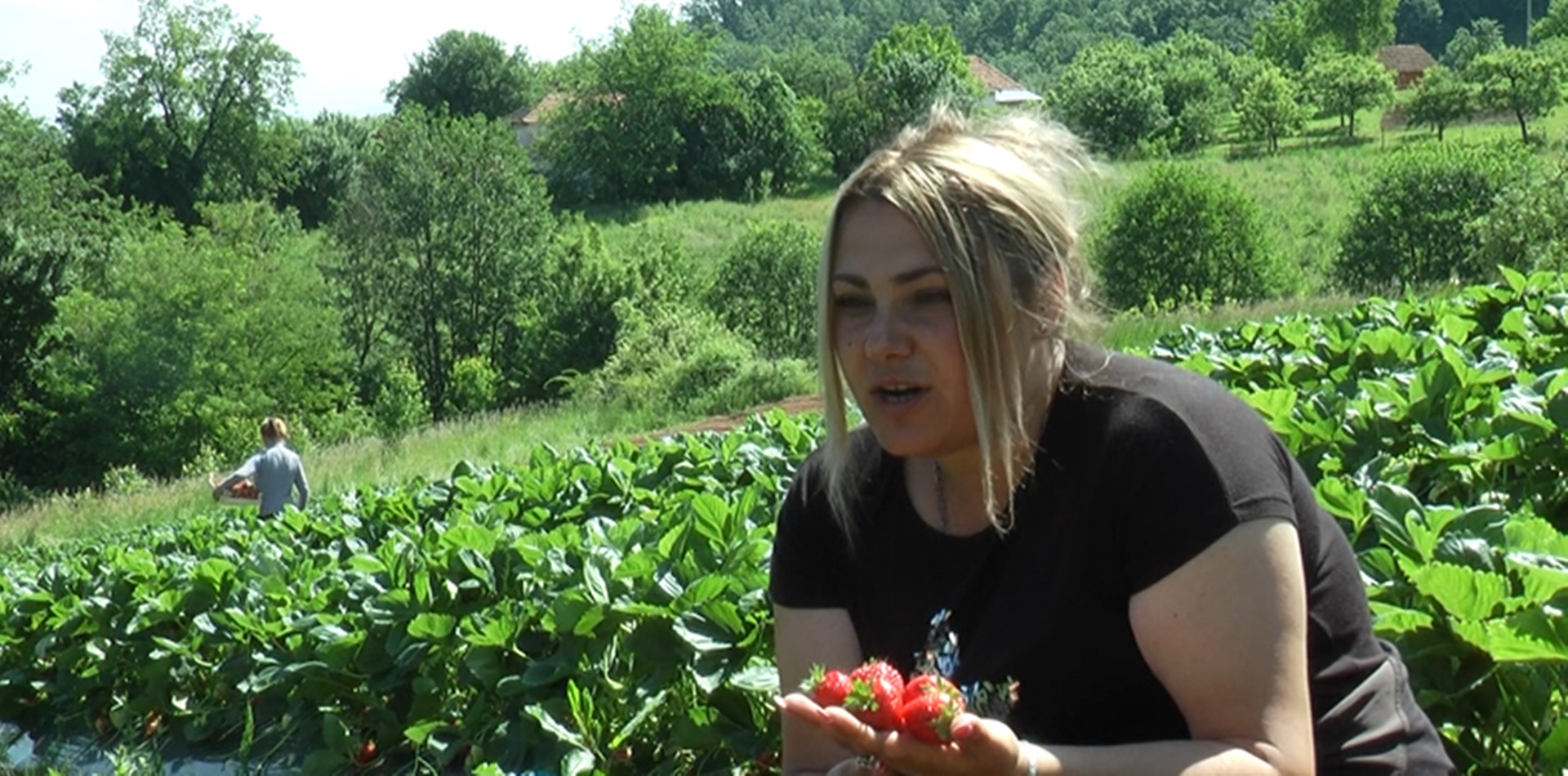 Јелена Ђокић од малена се бави пољопривредном производњом, фото: РИНА
