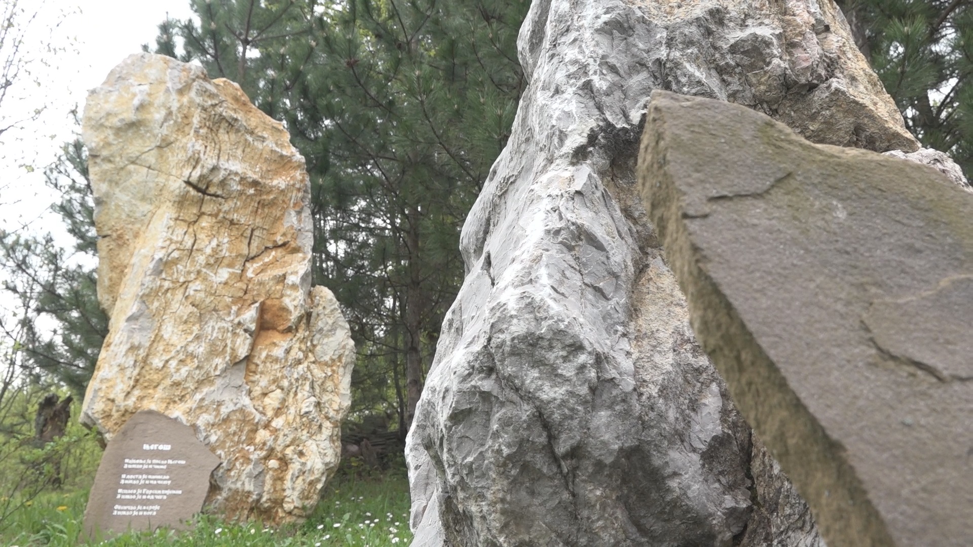 Биолог Пеца из села Паштрић има најнеобичнији музеј у Србији, фото: РИНА