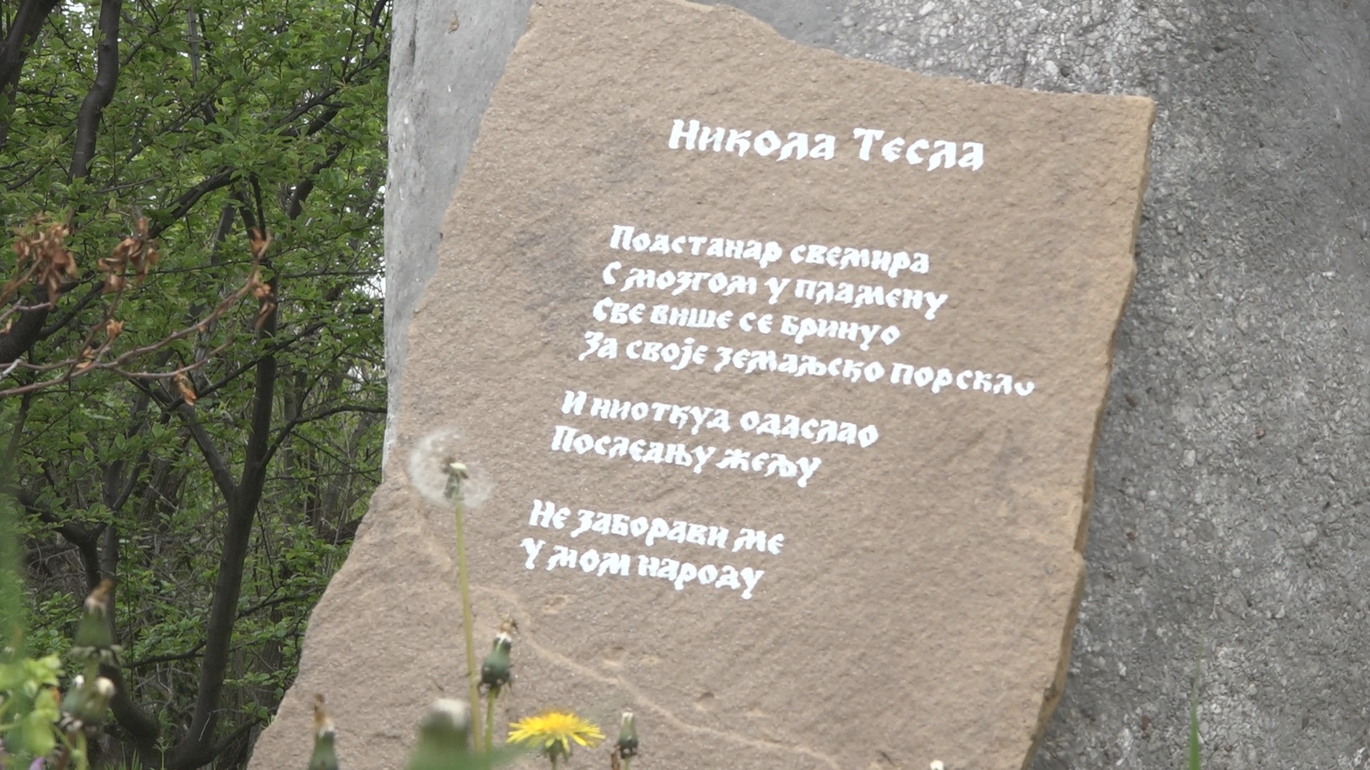 Биолог Пеца из села Паштрић има најнеобичнији музеј у Србији, фото: РИНА