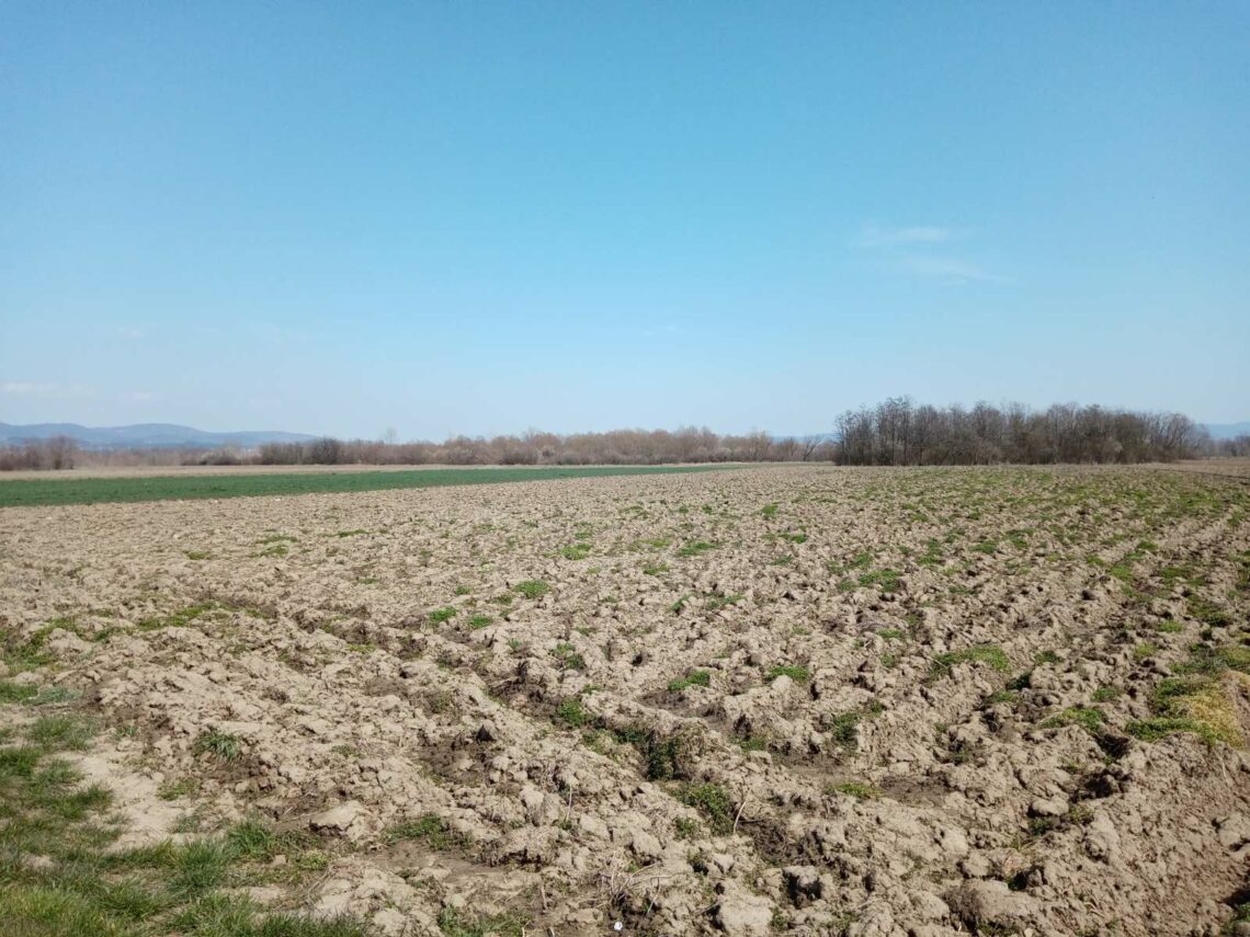 Спасено 40 хектара плодних ораница у долини Западне Мораве: Мештани више не страхују да ће се на њиховој земљи гомилати смеће, депонија се измешта на другу локацију 