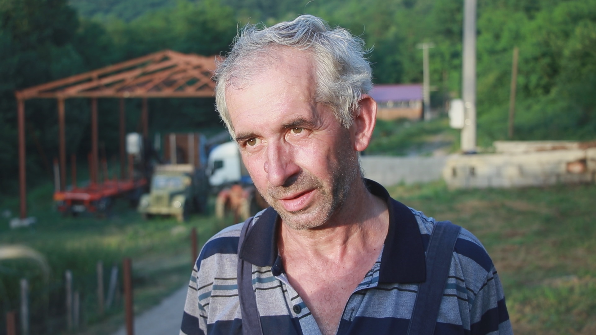 Прошлог јуна им је вода однела све, а овог лета на острву усред Мораве поново галопира крдо коња, фото: РИНА