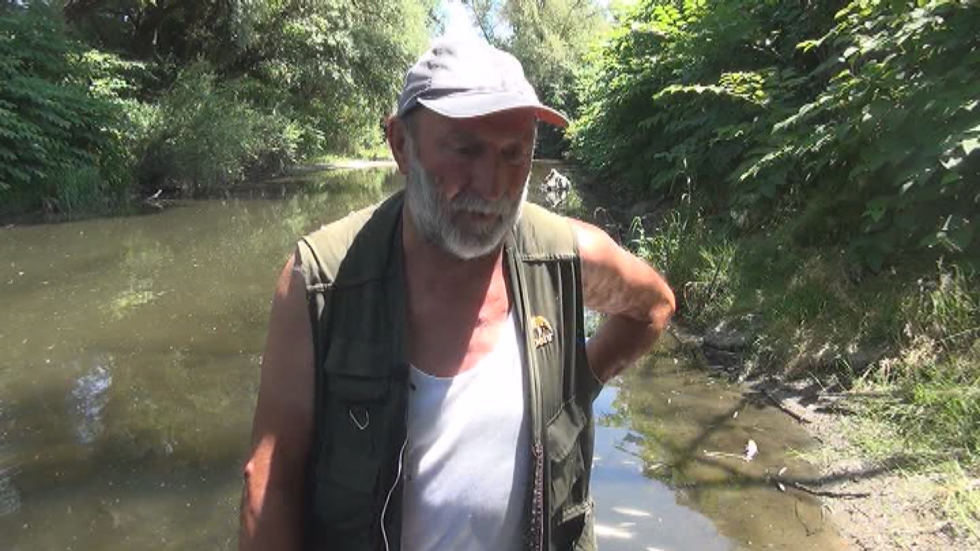 Помор рибе у реци Скрапеж: Отроване мрене и кленови у водотоку прво у близини Косјерића, а затим и код Пожеге (ФОТО)(ВИДЕО)