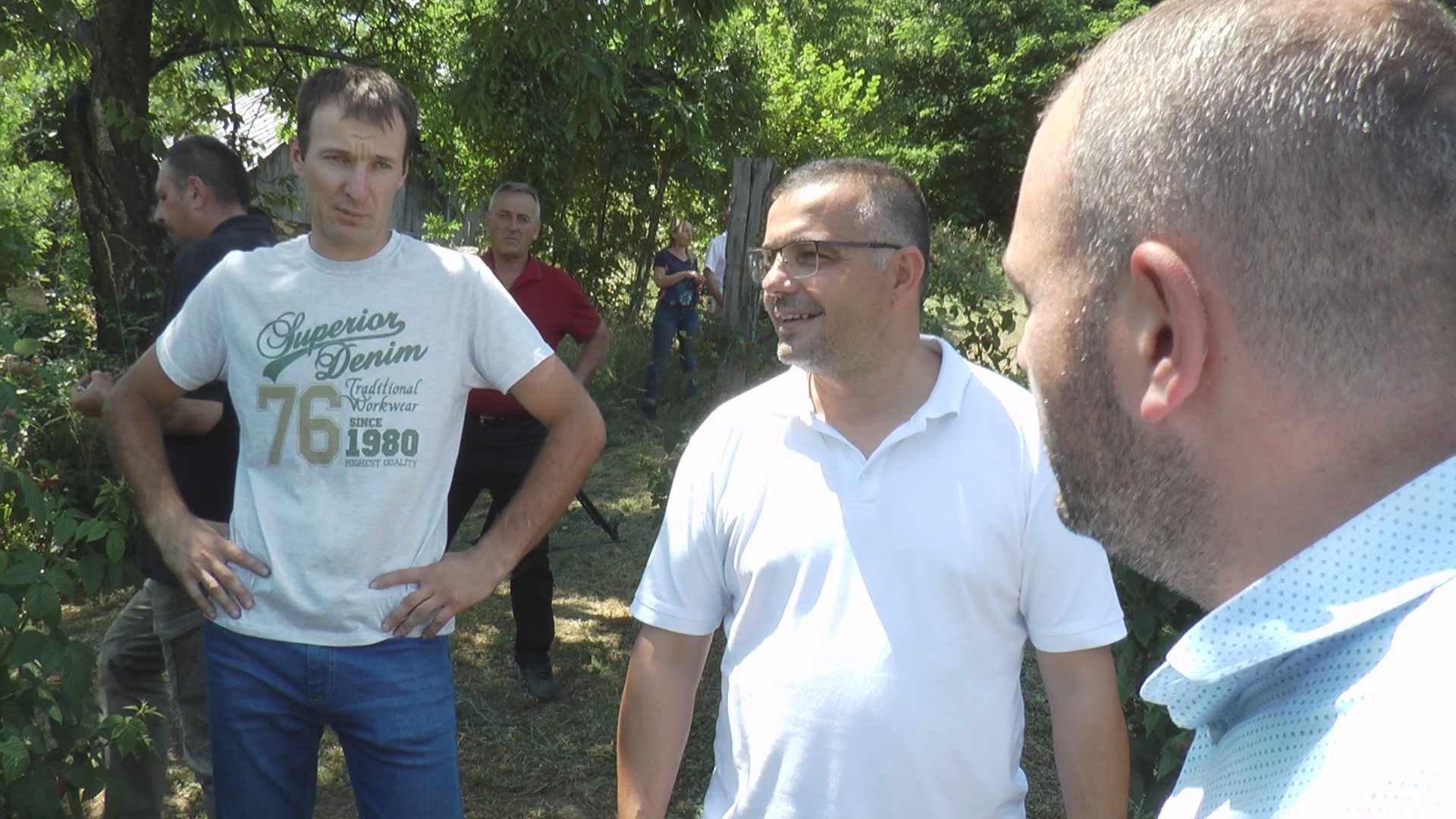 Килограм малина сада кошта као килограм меса, а хладњачари се отимају за српско црвено злато, фото: РИНА