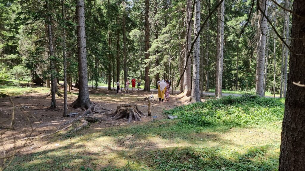 Лепоте планине Златар и овог лета привукле велики број посетилаца: Хотелски капацитети попуњени 100 одсто, незаобилазна посета видиковцима и пловидба језером (ФОТО)
