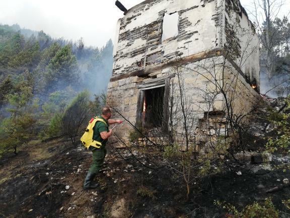 Пожар на Тари гасили ватрогасци, радници НП Тара и мештани, фото: РИНА