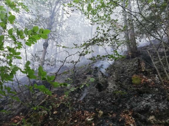 Сати и сати борбе са ватреном стихијом су иза њих: Локализовани пожари на Златибору и Тари, опасност од поновног ширења пожара постоји још само на брду Бријач на Муртеници (ФОТО)
