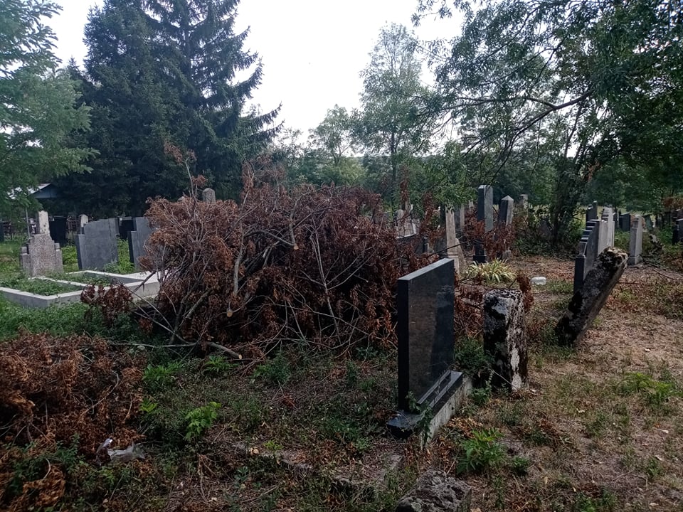 Покојницима не дају да почивају у миру: Непознати починитељи секли дрва на гробљу, а грање бацали на споменике (ФОТО)