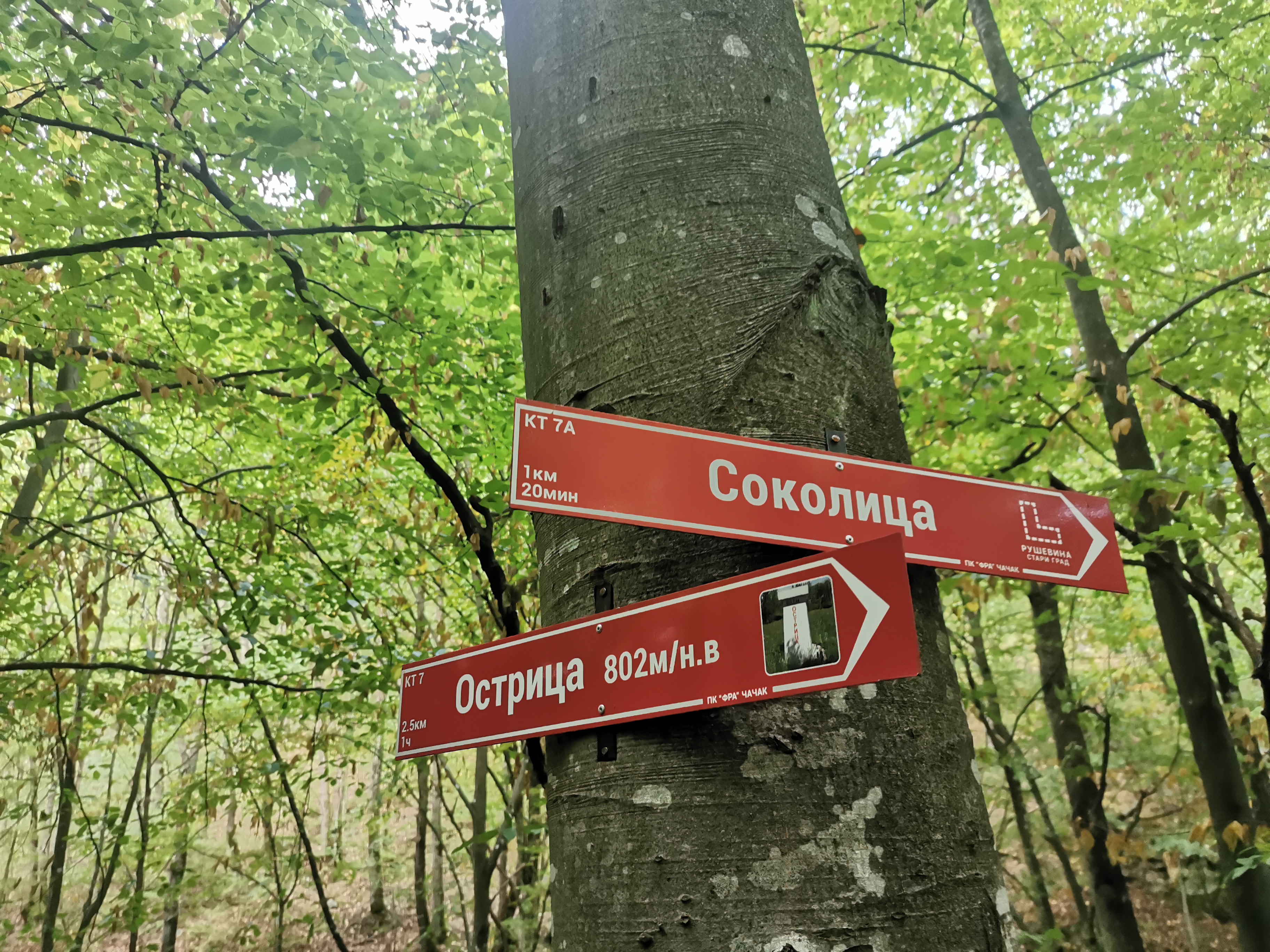 Сваке године кроз село Остра прође на десетине заљубљеника у природу и историју/ Фото: РИНА