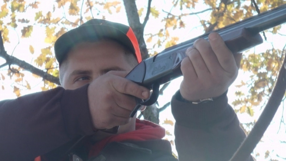 Забрањује се лов на три угрожене врсте птица у Србији: Десетковане јаребице,препелице и грлице, нарушена станишта за опстанак 
