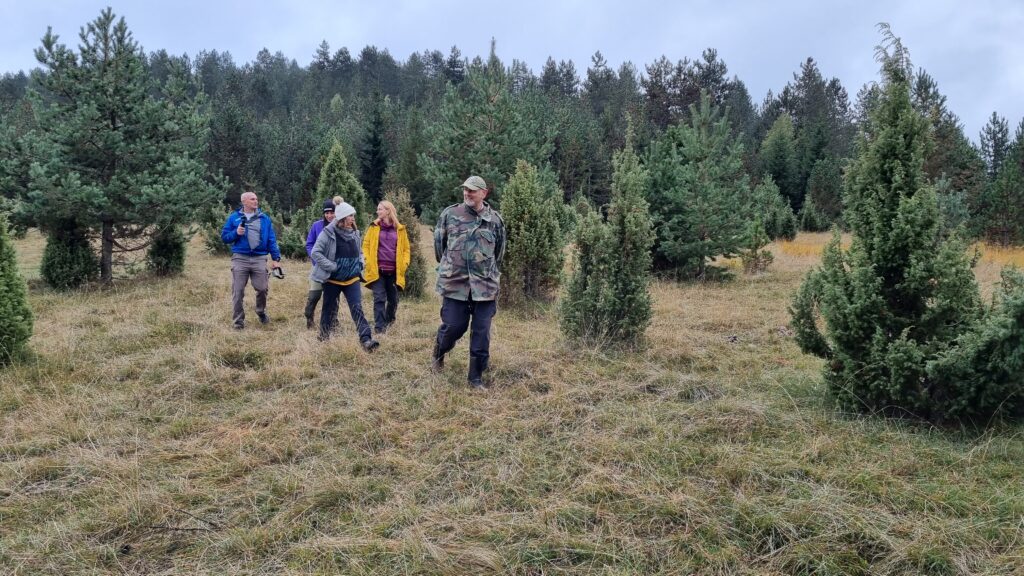 Ванда након годину дана остала без огрлице за праћење: Биолози одашиљач пронашли подно планине Озрен, али од вучице ни трага (ФОТО)