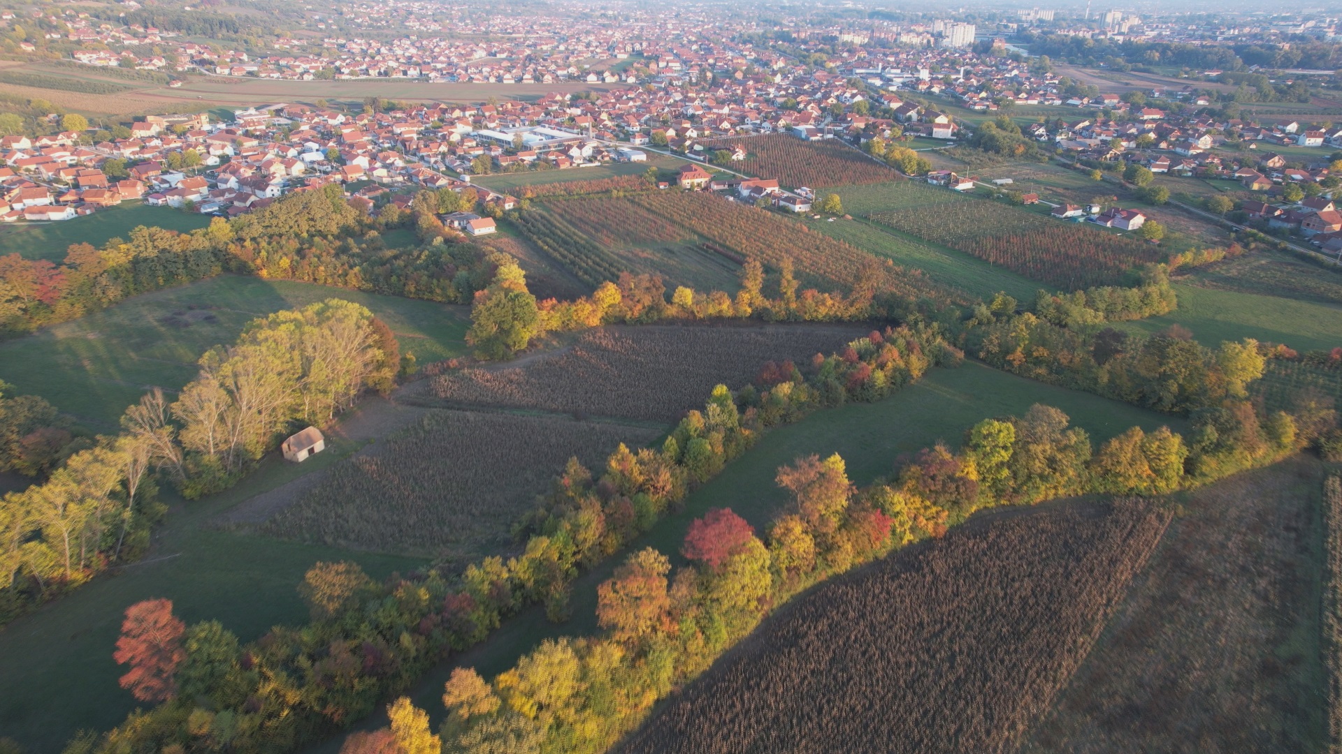 У околини Чачка није се дешавало ништа слично, фото: РИНА