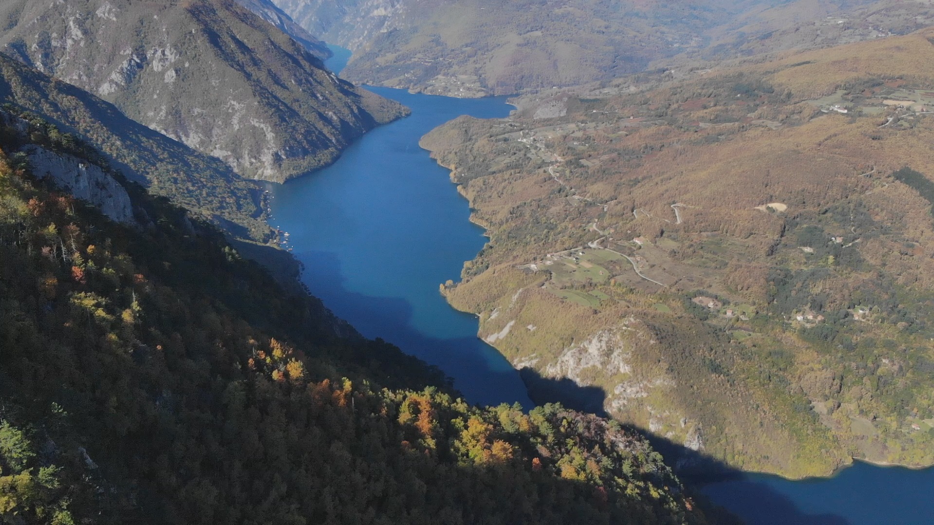 Орао рибар строго заштићена врста у Србији: Ове невероватне птице лете од ледене Скандинавије до вреле Африке, а Рами из Финске 1000 километара прелетео за дан