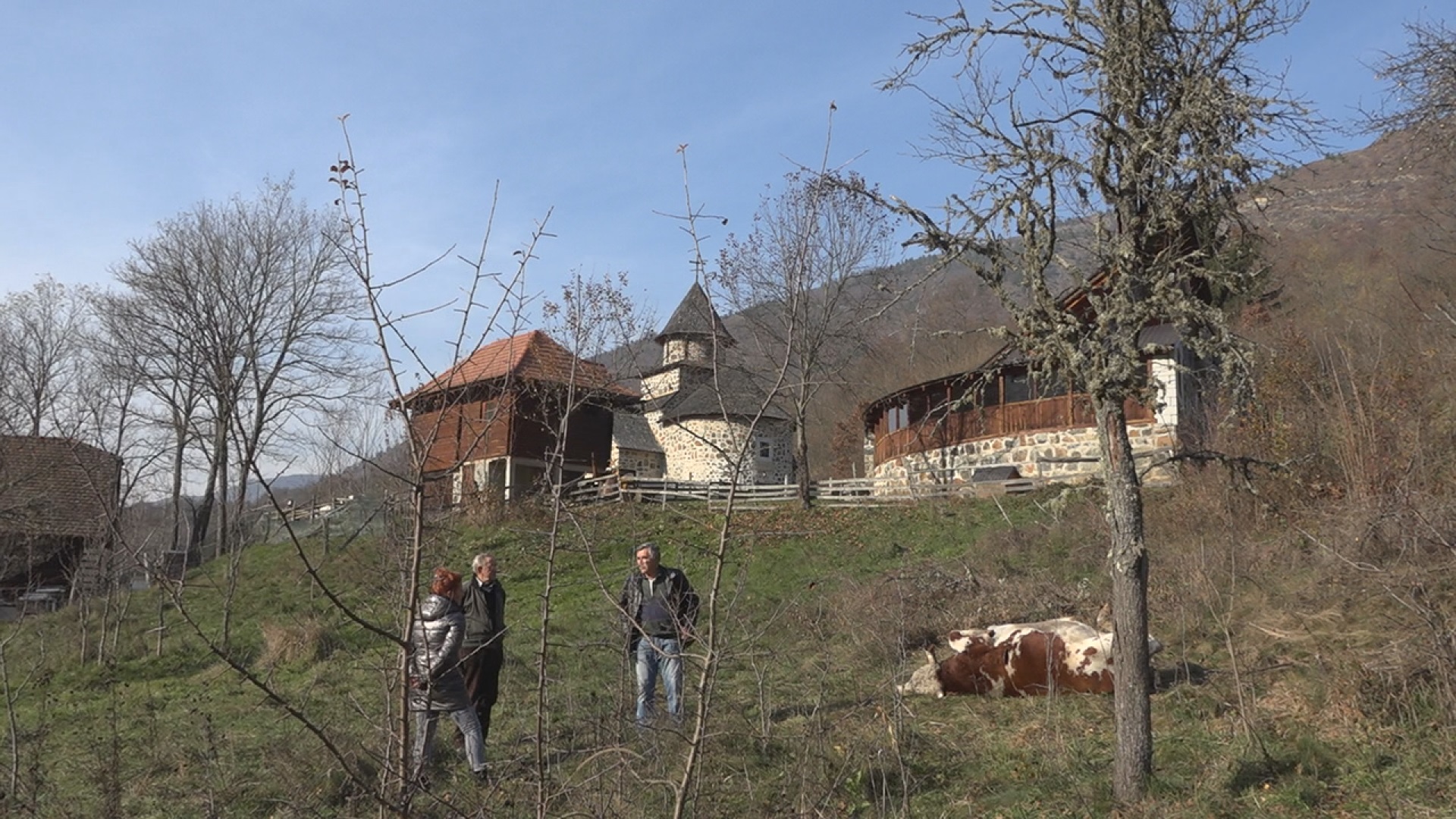 Поднета кривична пријава против особе за коју се сумња да је убила бика од 600 килограма из пиштоља/ Фото: РИНА