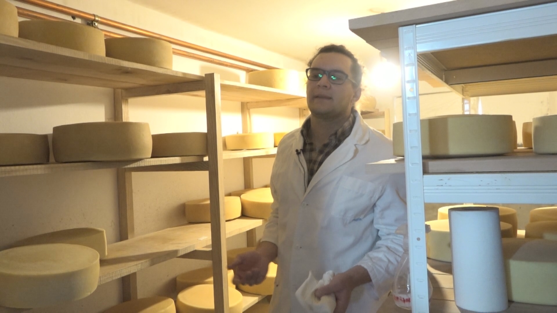 Златиборске краве пасу домаће пашњаке, али дају алпски сир: Несвакидашња бизнис идеја Мирка из села Гостиље, стицао искуство у елитним ресторанима па знање применио на својој дедовини (ФОТО)