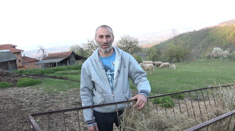 Јагње од 30 кила више пара поједе, него што их донесе: Слаба рачуница за сточаре пред празнике, за килограм печења треба да издвојите и до 2.000 динара