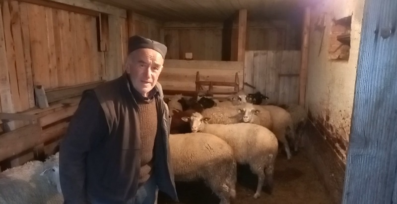 Молимо Бога да се не понови прошла година, јаке врућине спржиле нам ливаде: Суша преполовила наше пашњаке, принуђени смо да купујемо по Србији (ФОТО)