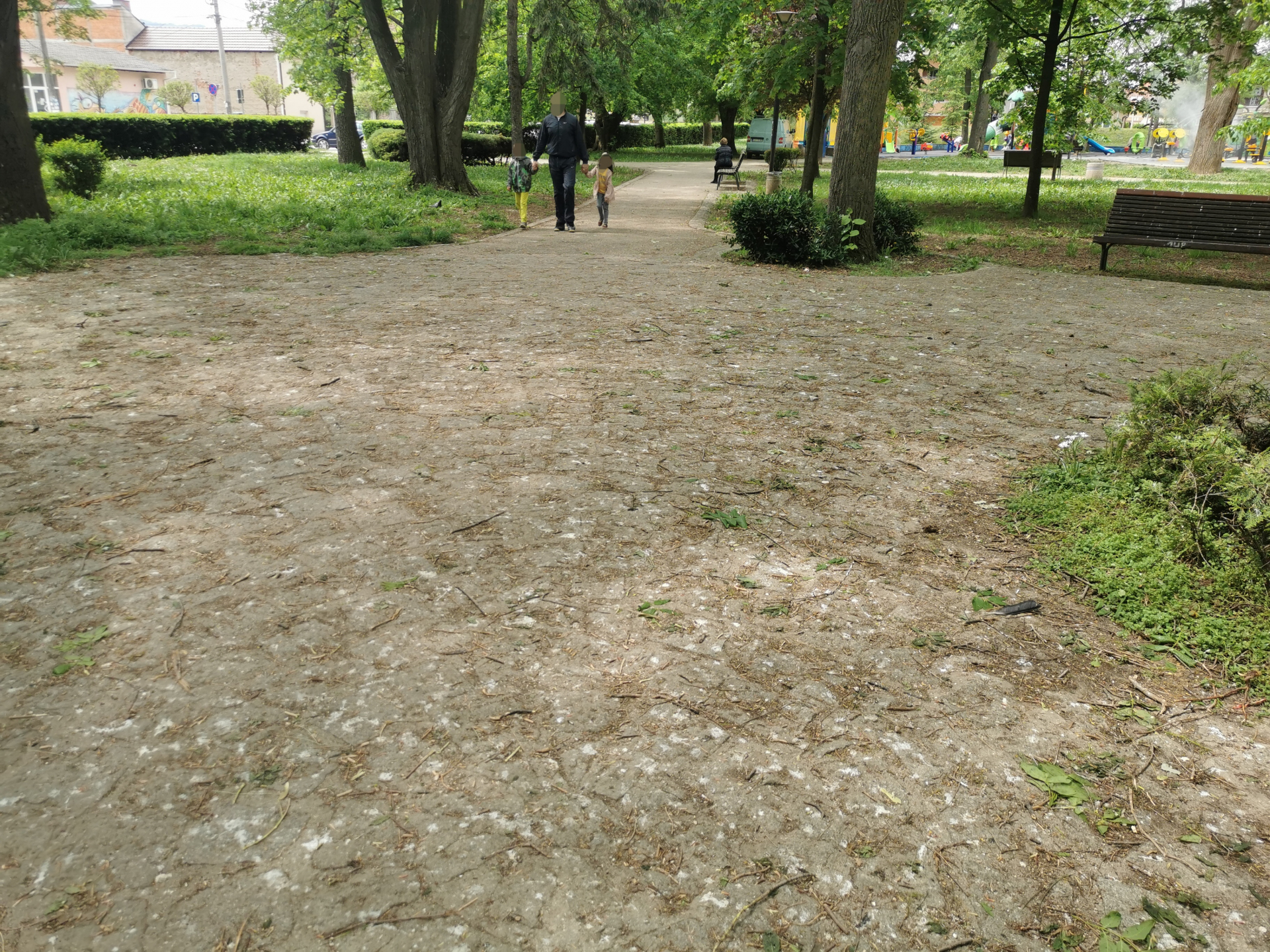 Непријатна ситуација затекла Чачане који су током нерадних дана прошетали кроз парк, фото: РИНА