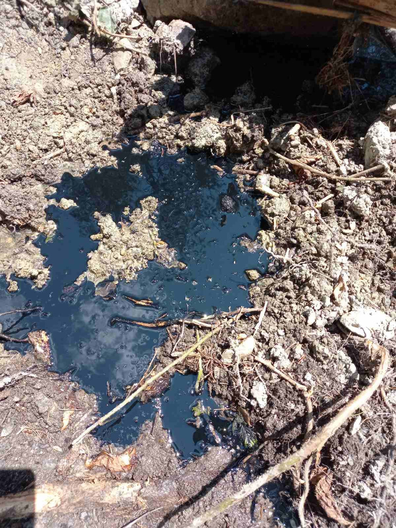 Пио воду са сеоског извора па завршио на инфузији: Прегорело црно уље плута површином и може изазвати еколошку катастрофу, Срећко из села Горње Кошље и егова стара мајка у великом проблему (ФОТО)