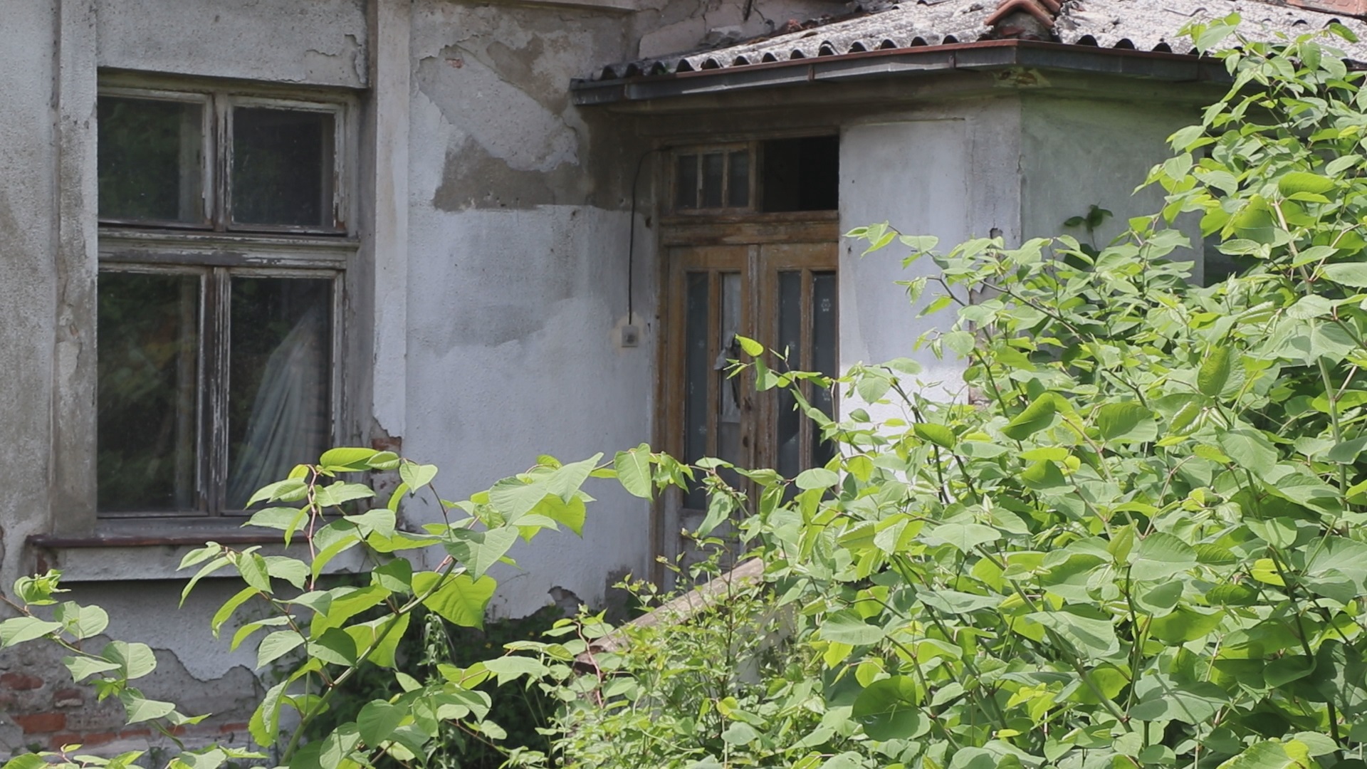 Станари Пантићеве улице у Чачку у страху од змија, фото: РИНА