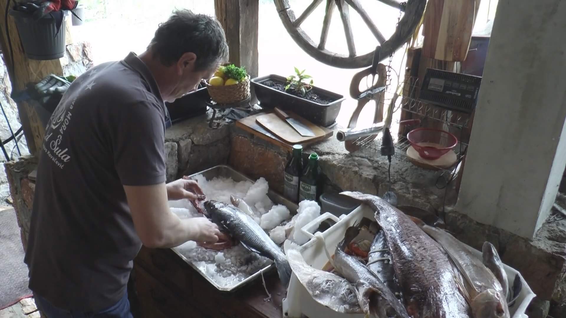 Пројепољац пловио свим морима, а свој рај сада направио на копну, фото: РИНА