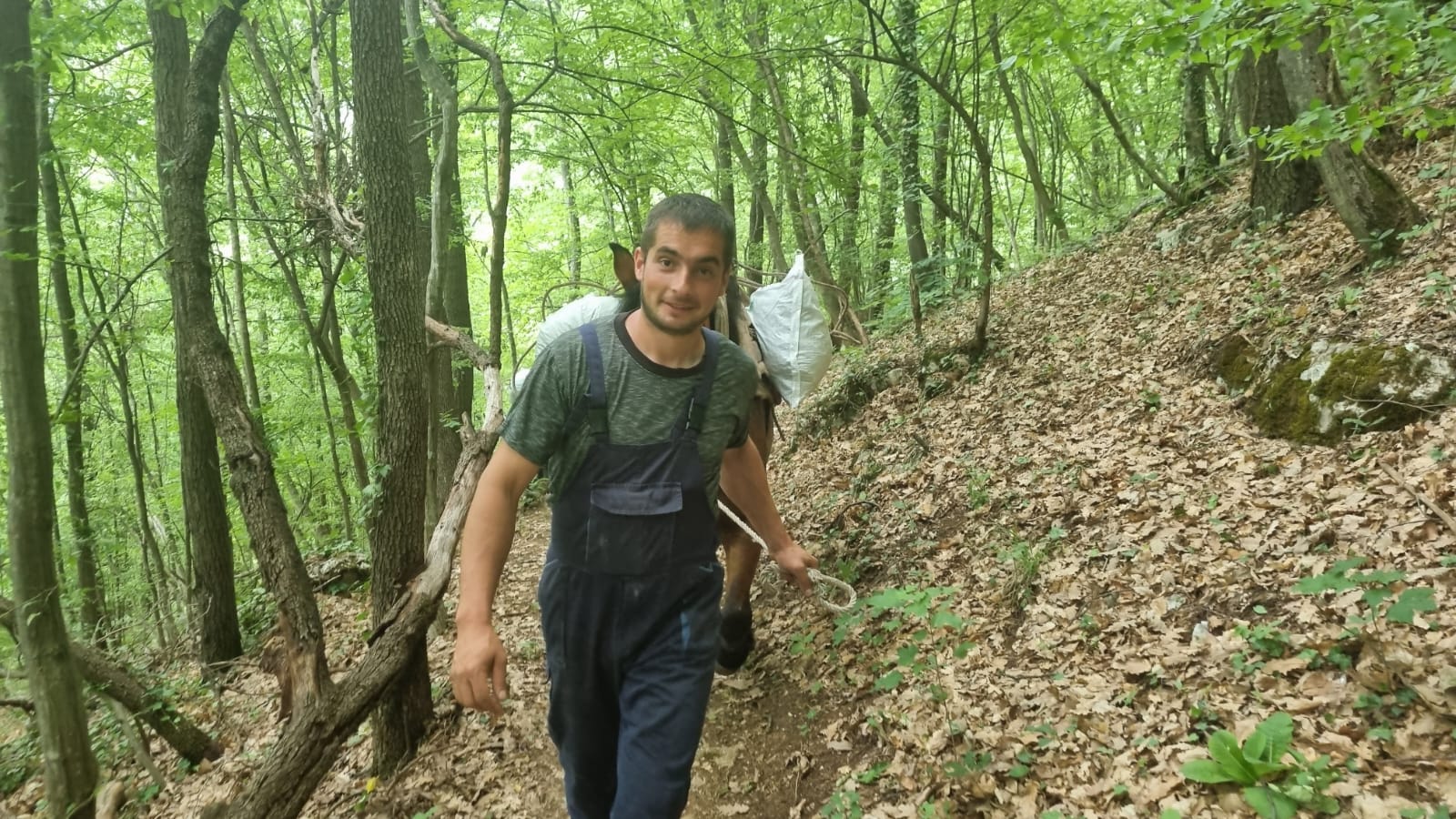 Милосављевићи из Дљина упрегли шест својих најбољих коња да помогну изградњу светиње на планини Каблар/ Фото: РИНА