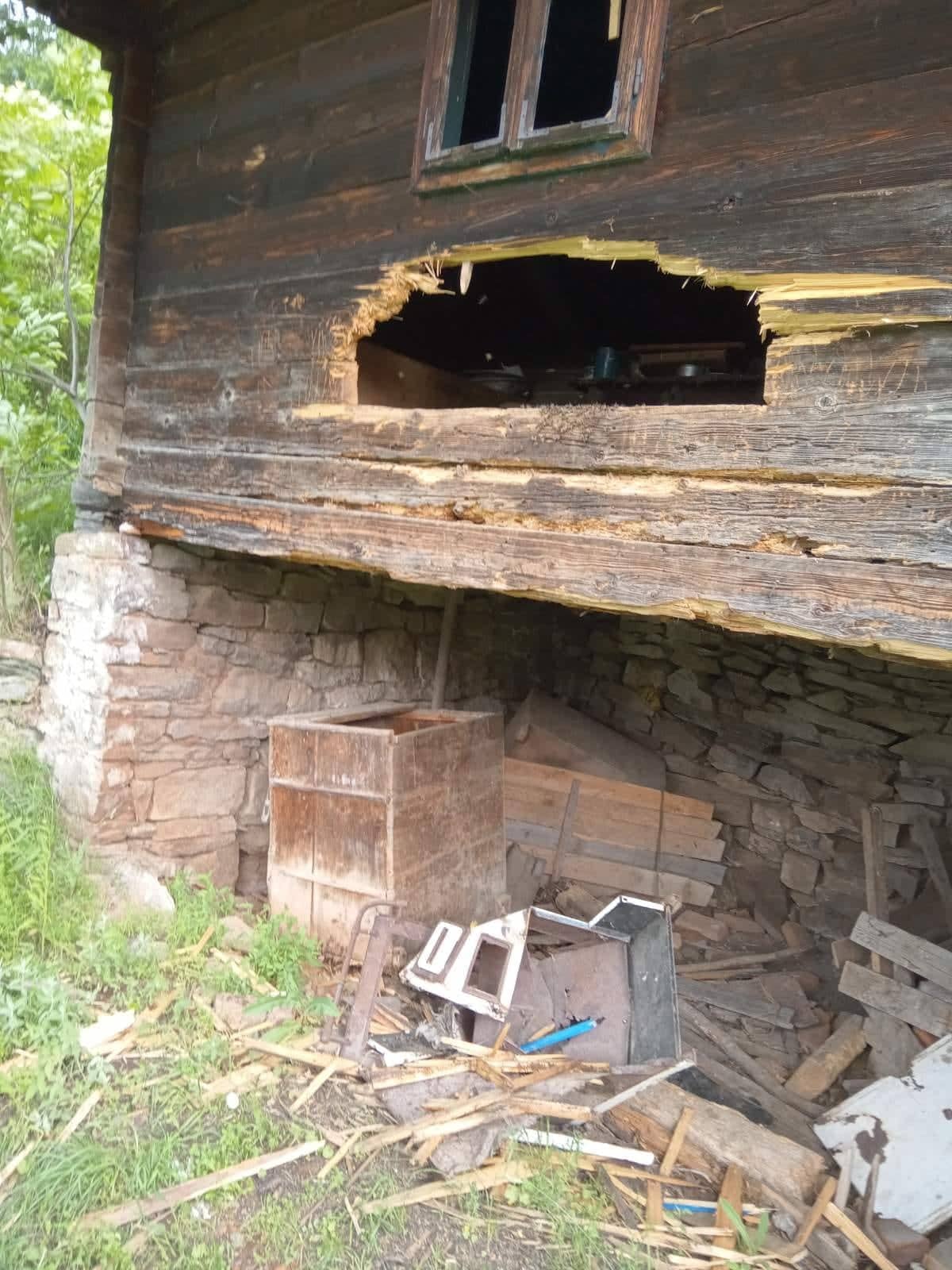 Мечка упала у кућу на Голији и однела сав мед: Милош из Девића остао шокиран кад је угледао проваљена брвна и разлупане тегле, животиња се гостила па побегла (ФОТО)