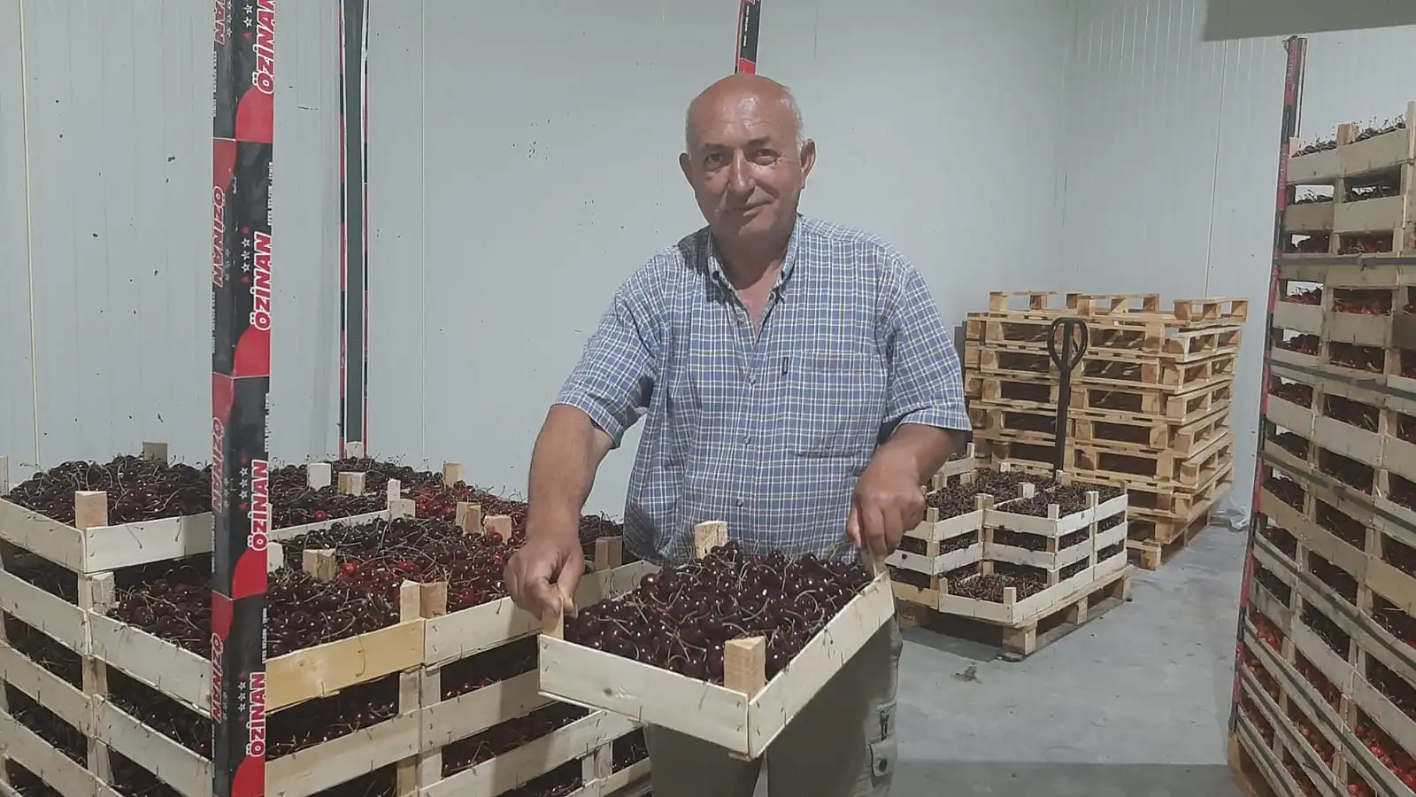 Хладњачар Мома накривио шајкачу јер су му рафови пуни, а воћке се само црвене/ Фото: РИНА