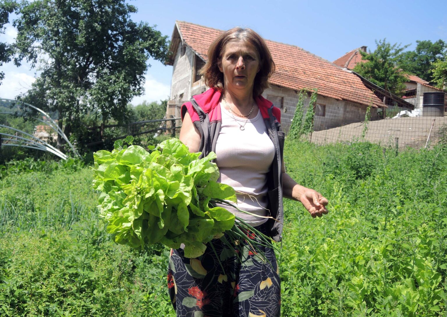 Стевановићима је посао дупло тежи, али и цена органских намирница је дупло скупља