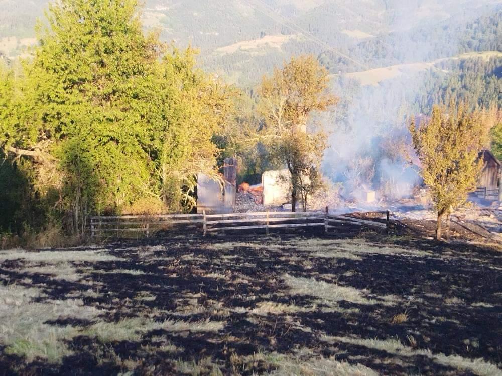 Ватра је претила све да уништи, прве слике пожара на Тари: Ватрогасцима у помоћ прискочили и мештани, након вишесатне борбе стихија под комтролом (ФОТО)