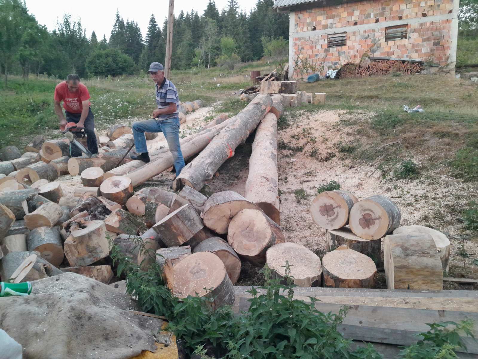 Кад су пресекли букву изненадила их уцртана виоилина са гудалом, Фото: Б. Ћировић