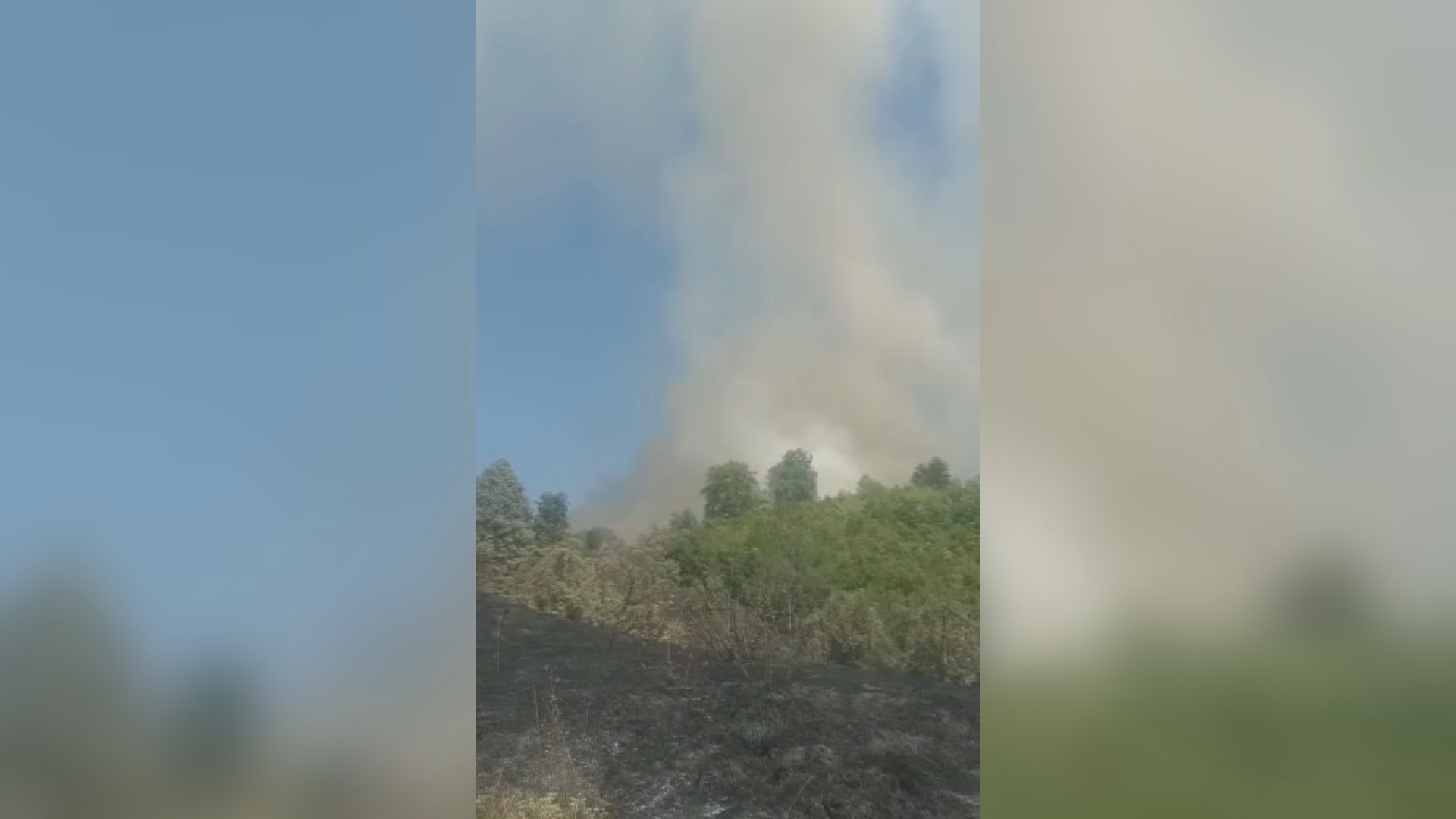 Гори шума код Прибоја, ватра прети да приђе кућама: Пожар у селима Подина и Бројанице, ватрогасцима у гашењу ватре помажу и мештани/ Фото: РИНА