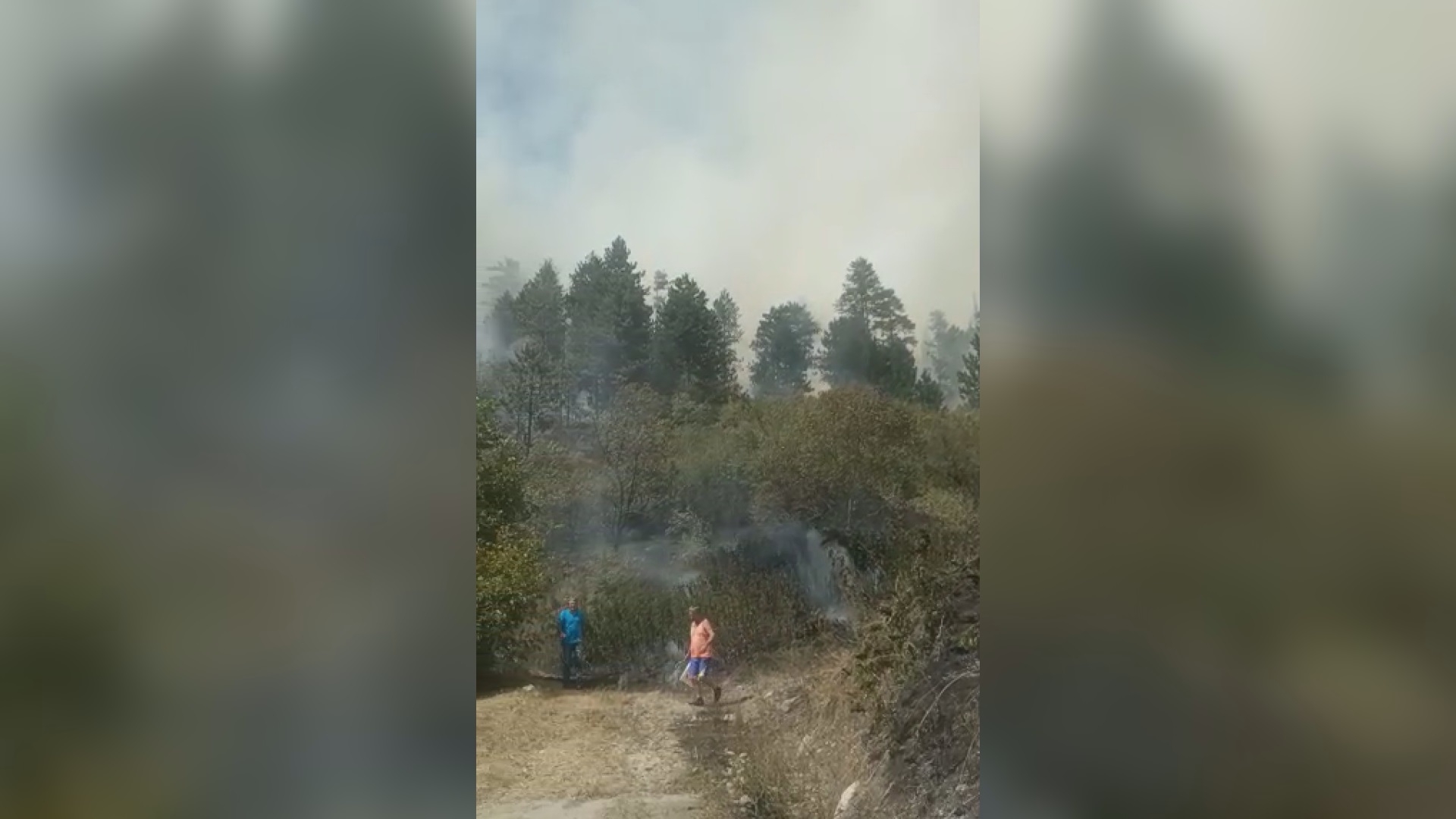 Гори шума код Прибоја, ватра прети да приђе кућама: Пожар у селима Подина и Бројанице, ватрогасцима у гашењу ватре помажу и мештани/ Фото: РИНА