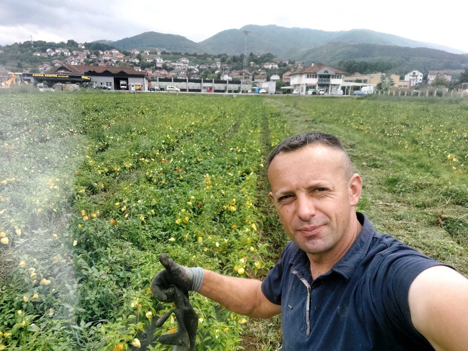 Код Његоша све што се набере одмах се и прода, фото: РИНА
