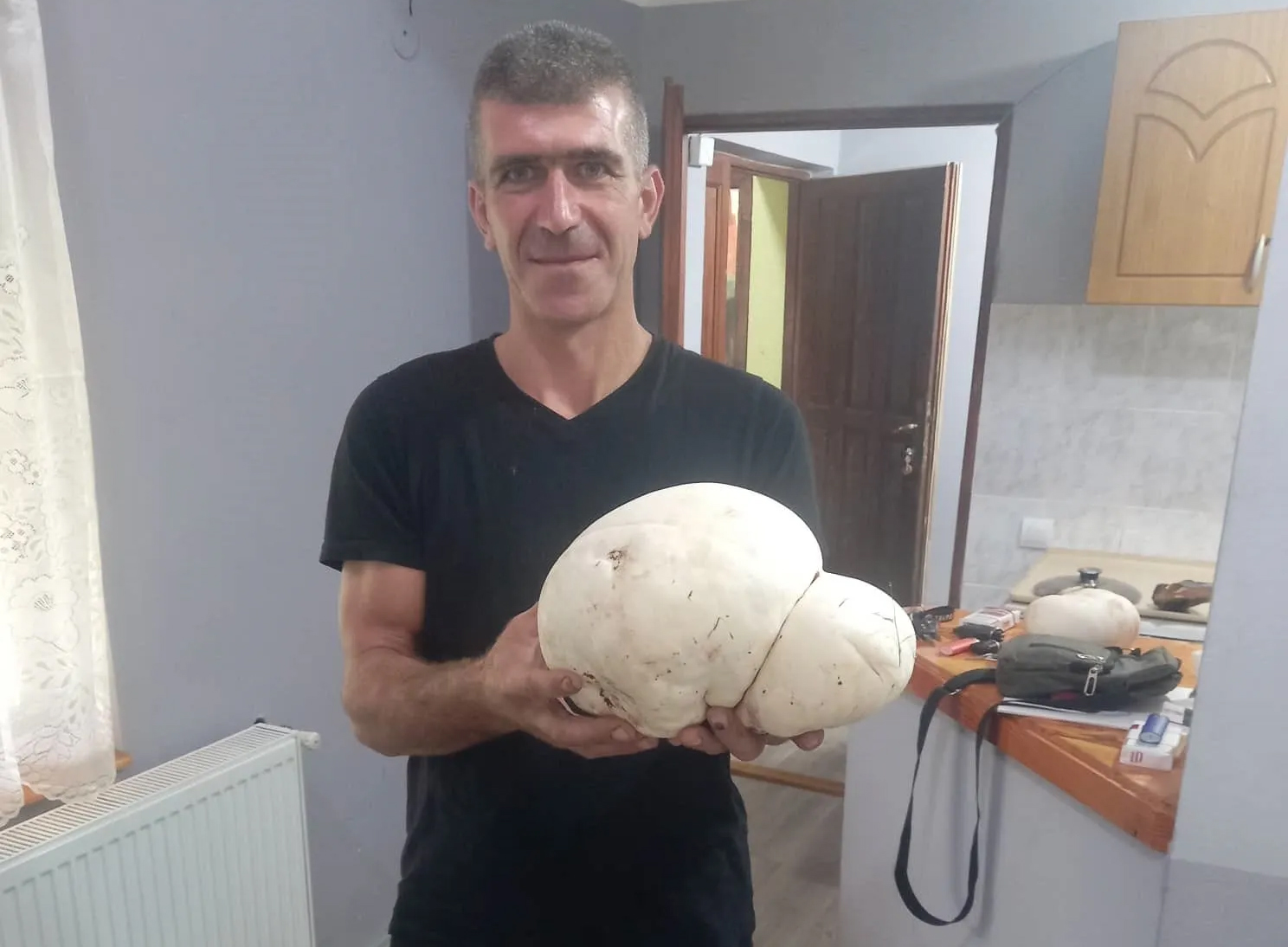 Једна печурка била довољна да се направи вечера за чак петоро људи: Огромну гљиву пухару пронашли истраживачи на Копаонику, тешка преко два килограма (ФОТО)