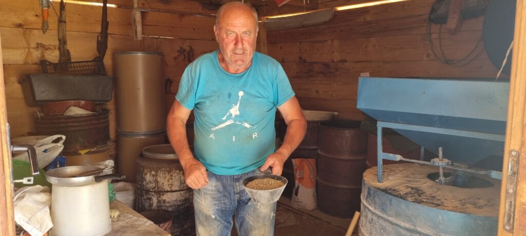Српско семе ражи чува се у Светском трезору биљака на удаљеном норвешком острву: Милован из села Бабине већ деценијама узгаја стрна жита за којима влада огромна потражња, а откупна цена дупло већа (ФОТО)