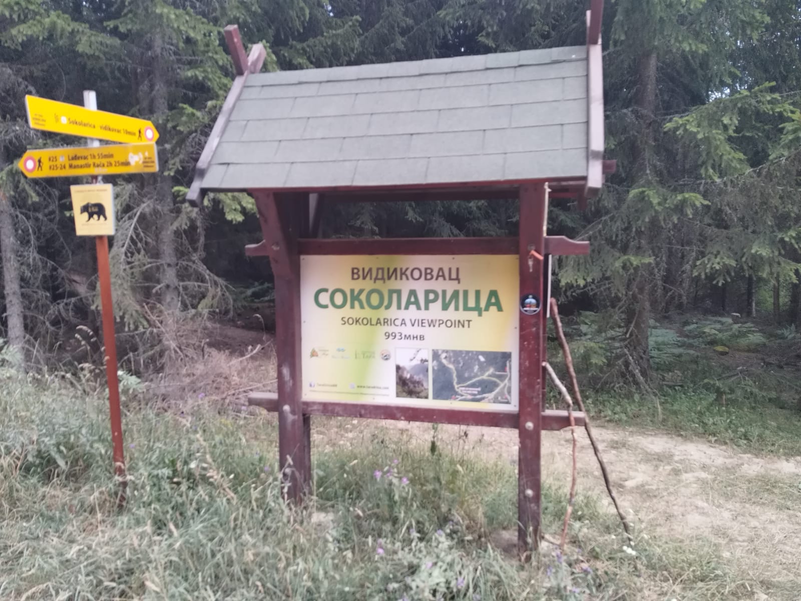 Врата раја отварају се на овој српској планини: Соколарица је нестварно леп видиковац на Тари, туристи из читавог света долазе на ово место где се гнезде сури орлови/ Фото: РИНА