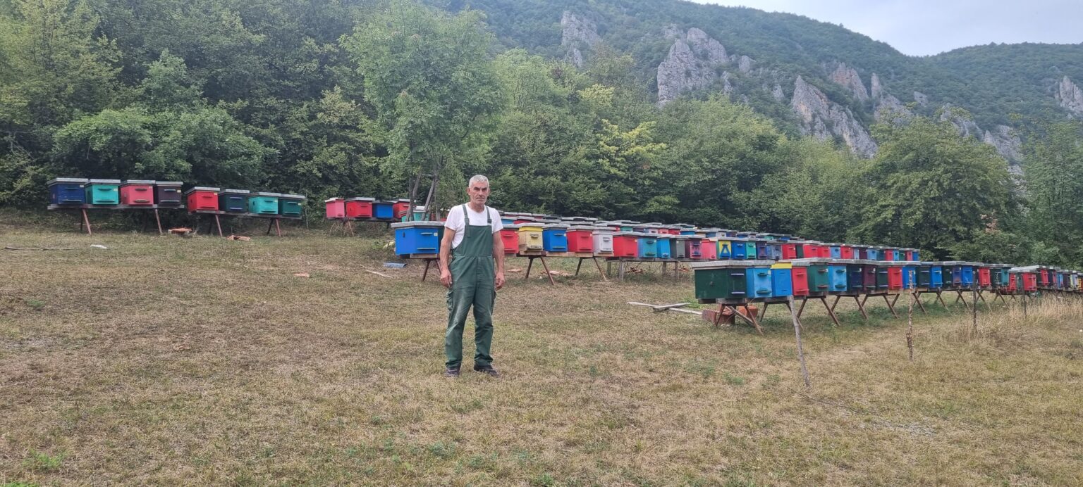 Есад спојио занат и љубав према пчелама па разрадио успешан бизнис, фото: РИНА