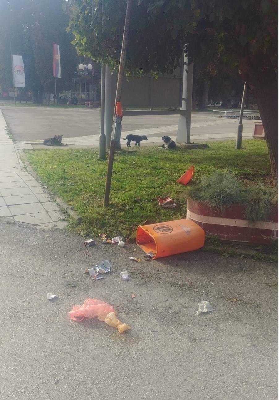 Бахатост у самом центру општине / Фото: Радио Д Лучани