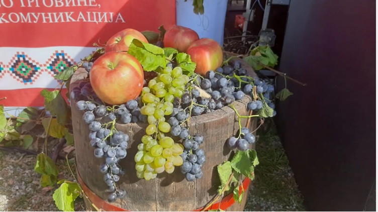 Једна од пет најзначајнијих манифестација у Србији одржава се у српској Тоскани: Пуцњем из топа и уз песму Обраше се виногради почела 59. Опленачка берба (ФОТО)