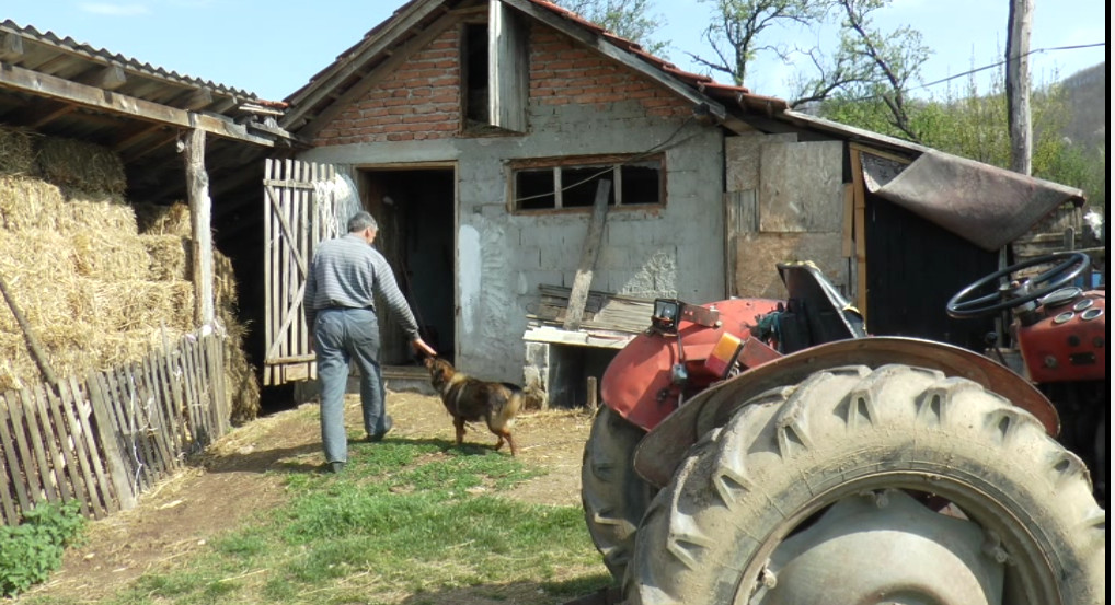 Немој ћеро у село да се удајеш, да те крава млати репом: Милутин из Горачића открива зашто је све више нежења у драгачевском крају, снајке неће да оду од мајке (ФОТО)