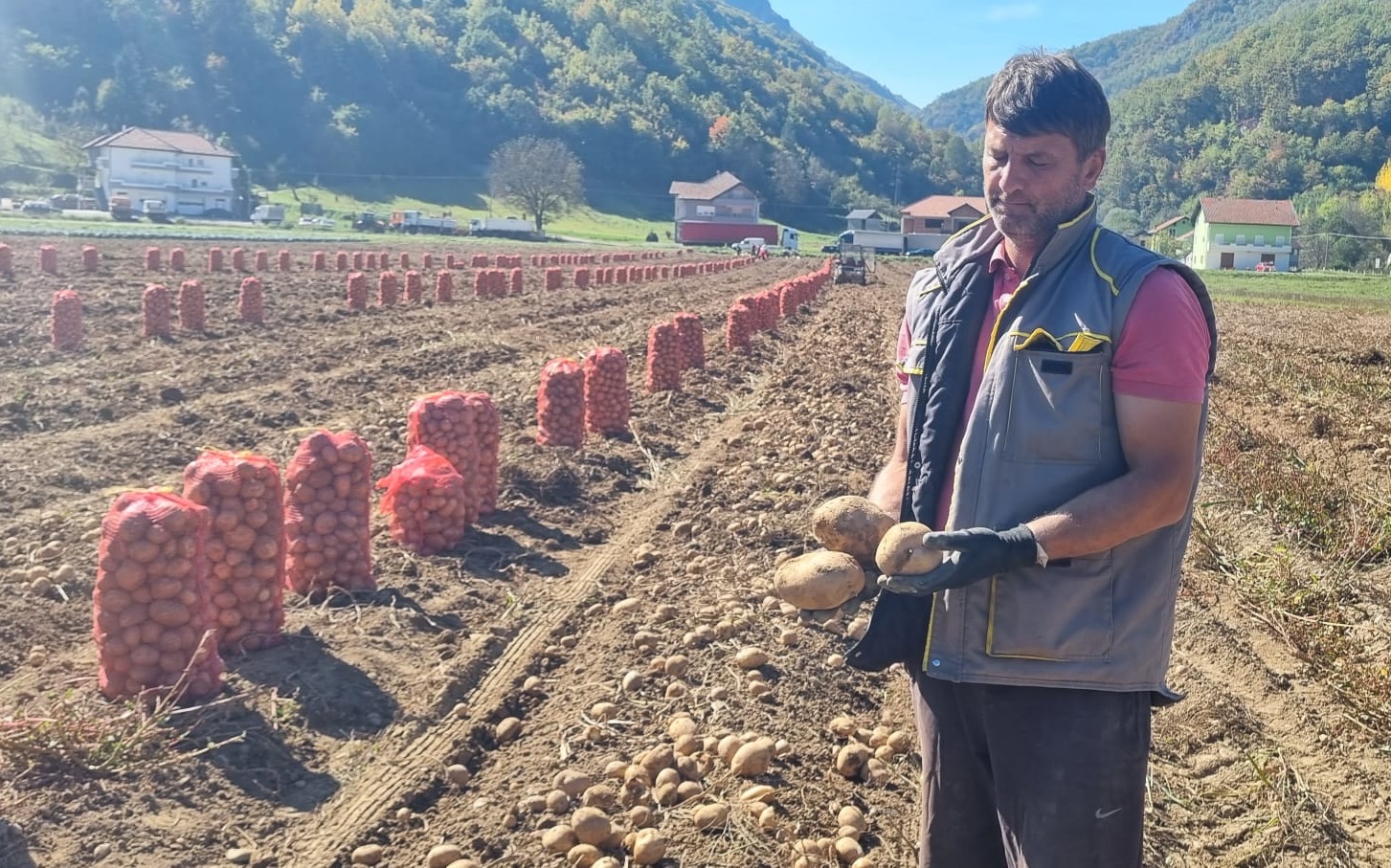 Парцеле браће Жунић из Пријепоља простиру се на осам хектара, фото: РИНА