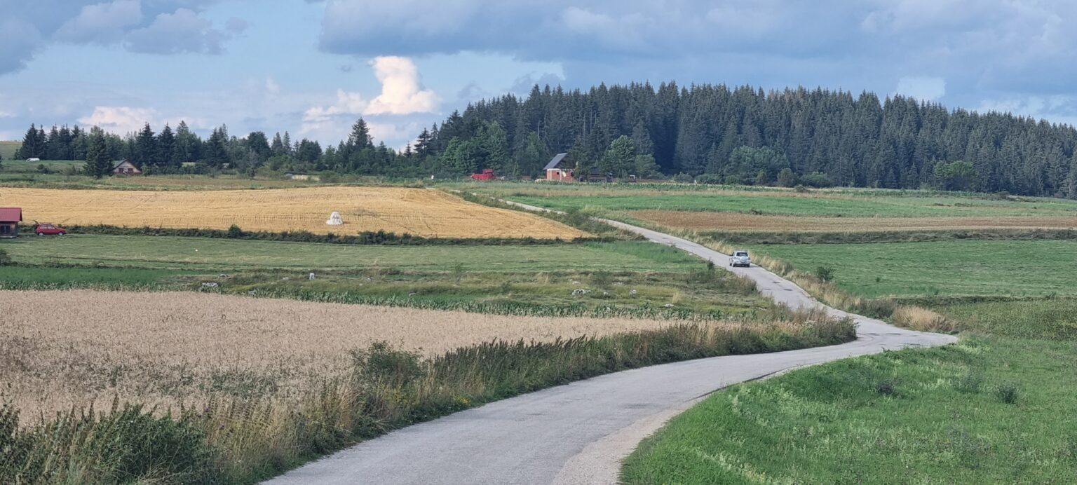 Престоница хељде у Западној Србији, на хиљаду метара надморске висине, фото: РИНА